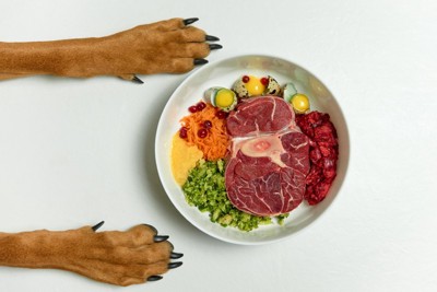 犬と手作りフード