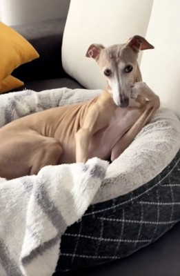 完璧な頬杖ポーズ