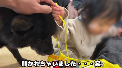 叩かれちゃった！！