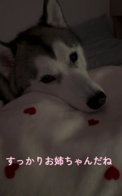素敵なお姉ちゃんだね！