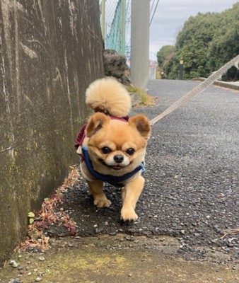 笑顔はとってもチャーミング！！