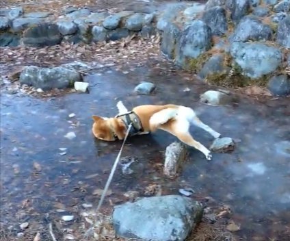 滑って転んだ