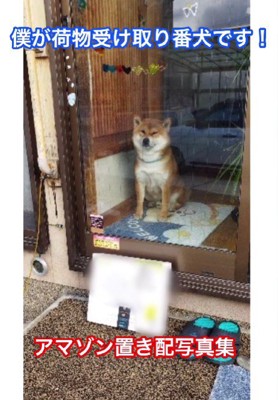 置き配とおいも君
