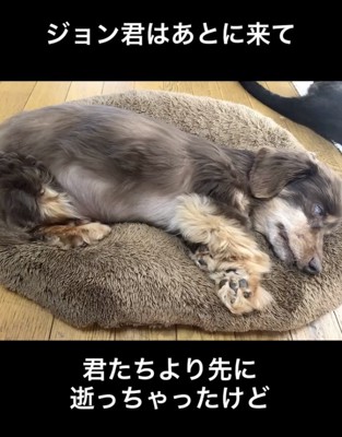 ZZZ…