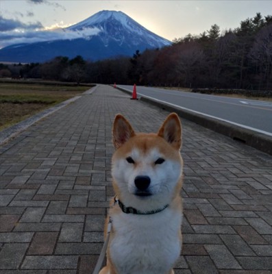 お出かけ