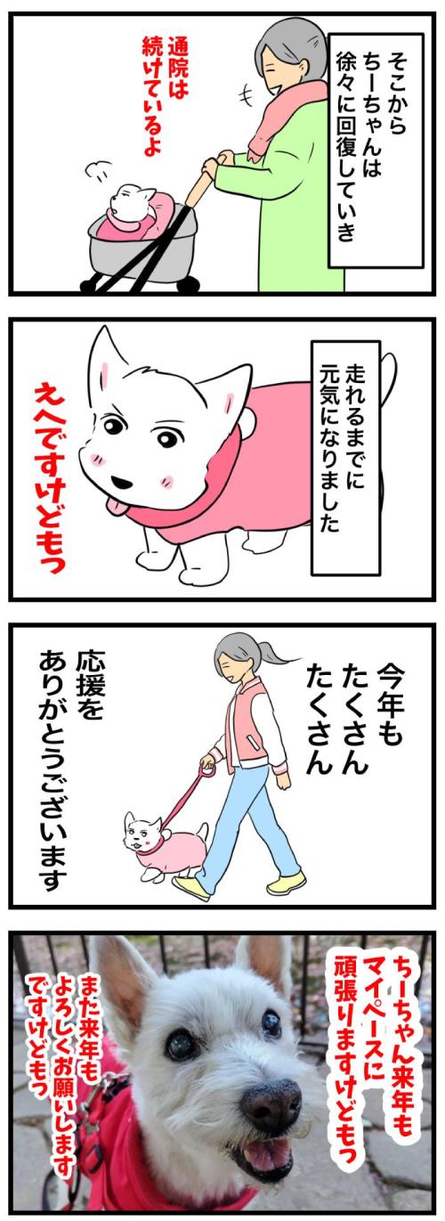 ちーちゃんですけどもっ【第341話】2