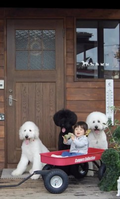いつだって一緒
