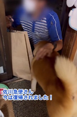 復帰したばかりとのこと