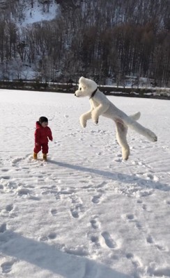 親友すぎる