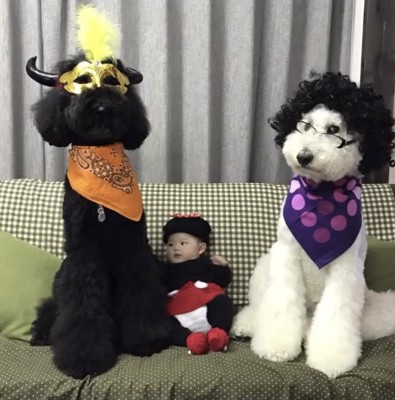 完璧すぎるコスプレ