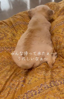 家族がそろうと幸せだね♡