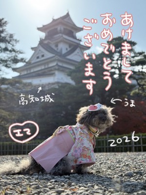 2026挨拶