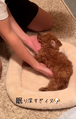 体勢を変える飼い主さん