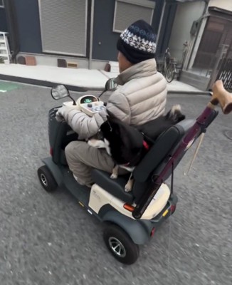 人と並んでシニアカーに乗る犬