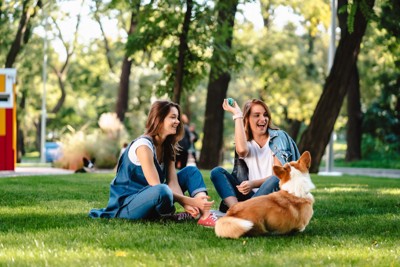 犬と遊ぶ女性たち