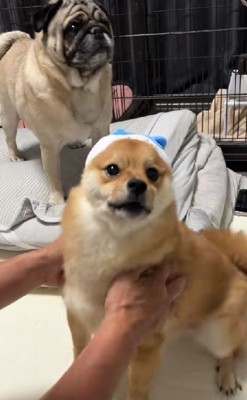 「来た！！」