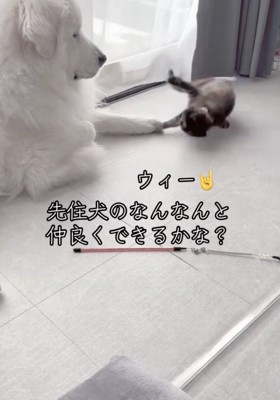 「隙あり！！」