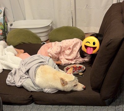 ドレスアップ