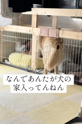 ラブラブ！！
