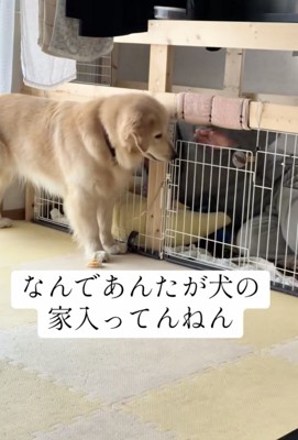 鍵が開いた！！