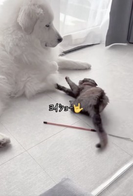 3度目の攻撃！