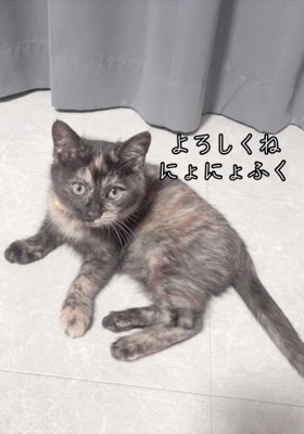 仲良くなれるかな？