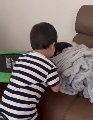 犬の顔をじっと見つめる子ども