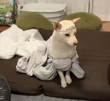 おままごと