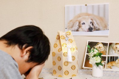 犬の遺影の前で泣く男性