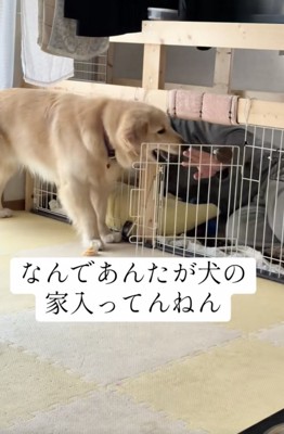 やっと！！