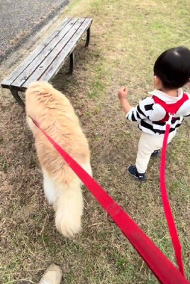 一緒にお散歩