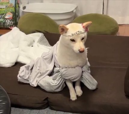 どうすれば