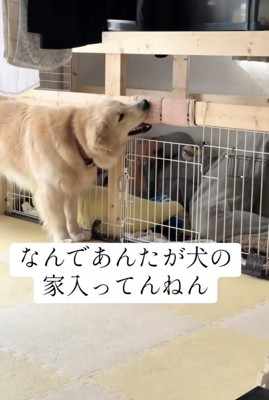 「そこは僕の家！」