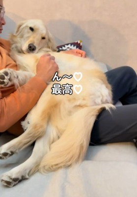 甘えたいときもあるよね♡