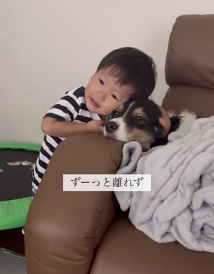 犬に顔をぴったり寄せる子ども