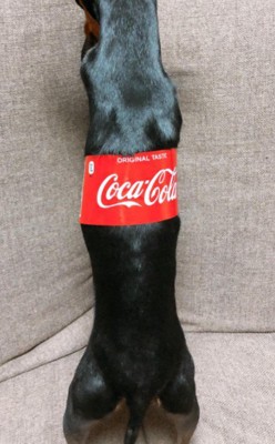 あれれ…？