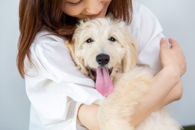 抱きしめられて喜ぶ犬