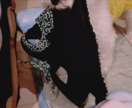 小さくて