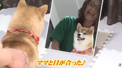 「ママがいる…？」