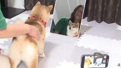 「…？」