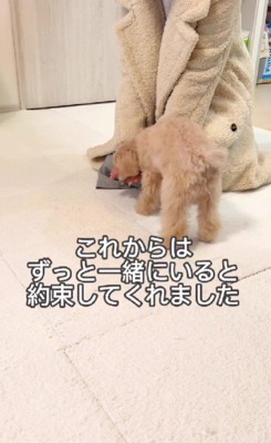 これからはずっと一緒にいよう