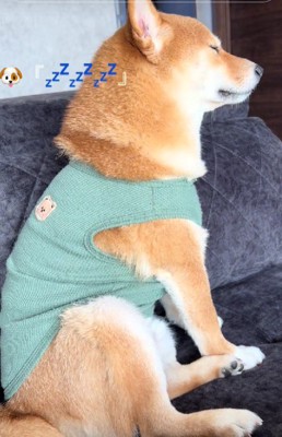 このまま寝ようかな…