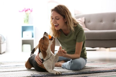 女性とボールを咥えた犬