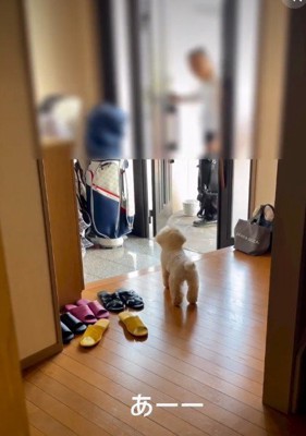 帰宅したのはおじいちゃん！！