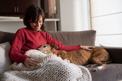 ソファーで犬を撫でる笑顔の女性