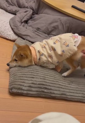 「絶対に歩かない」
