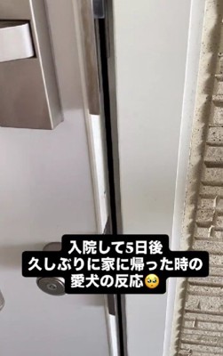 5日ぶりに帰宅したら…