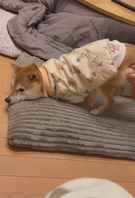 お尻を上げても効果ナシ