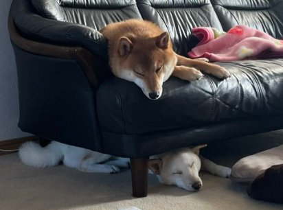 お気に入り