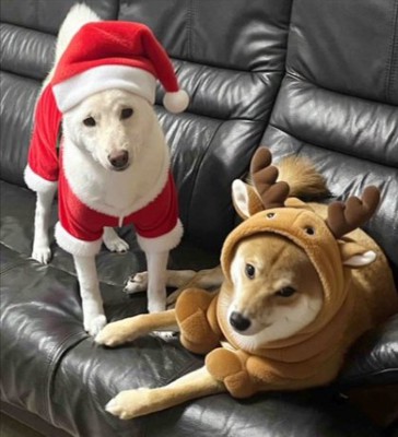 クリスマス